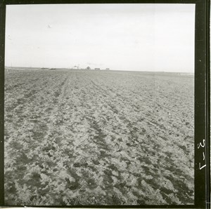 Image description is not available for PHO-4-W689-241